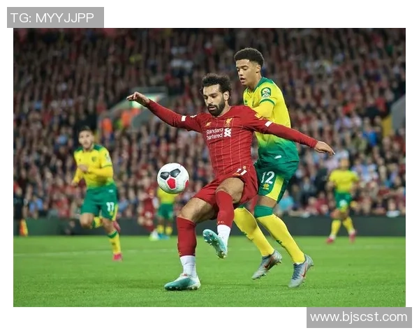 诺维奇足球明星阵容全解析及其在英超的表现与成就