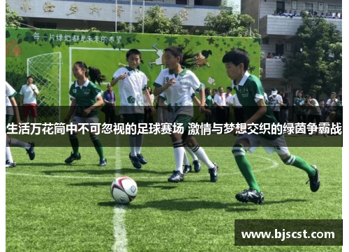 生活万花筒中不可忽视的足球赛场 激情与梦想交织的绿茵争霸战